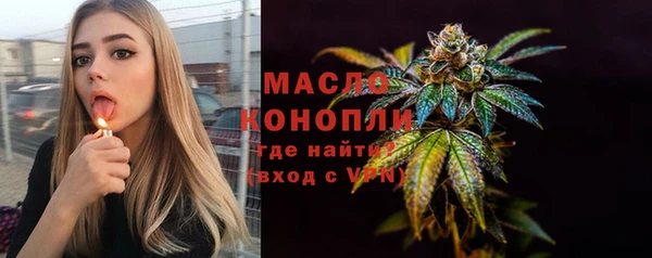 гидра Абаза