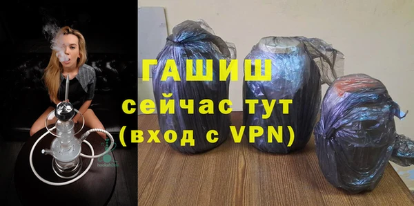 гидра Абаза