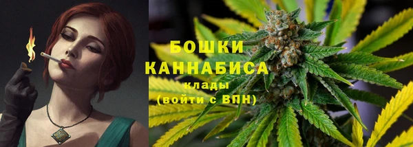 гидра Абаза